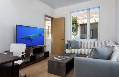 Luxury Villa Photo #12
