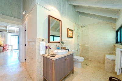 Luxury Villa Photo #46