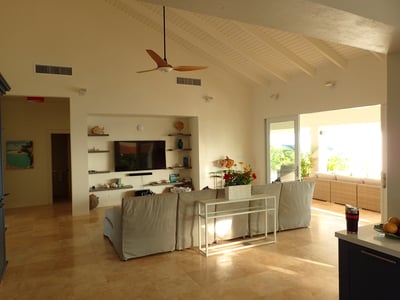 Luxury Villa Photo #47