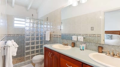 Luxury Villa Photo #21