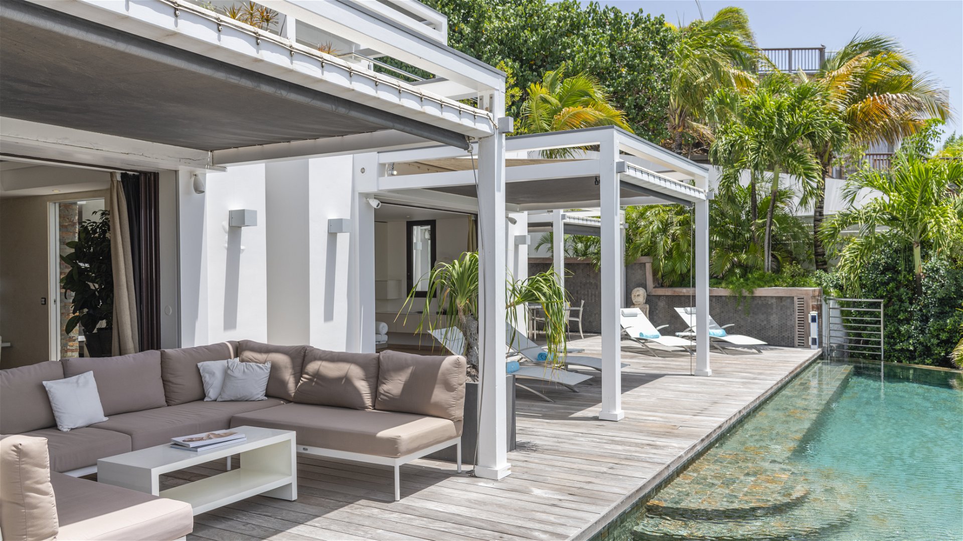 Lurin,Fleur de Cactus