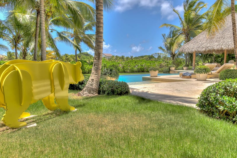 Arrecife EFG4 | Yellow Bear