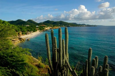 Luxury Villa Photo #7