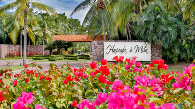 Luxury Villa Photo #32