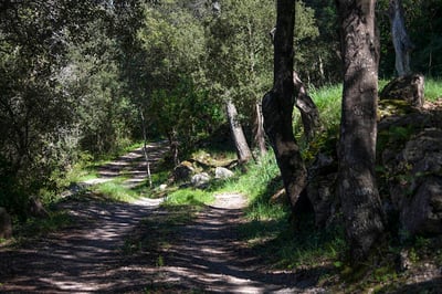 Luxury Villa Photo #5