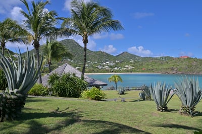 Luxury Villa Photo #9