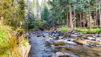 46 Restoration On The River