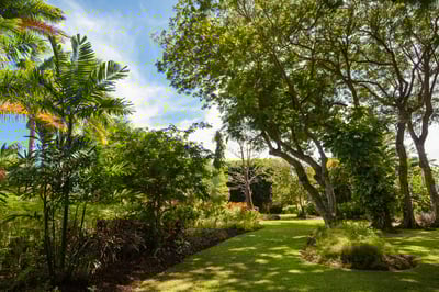 Luxury Villa Photo #12