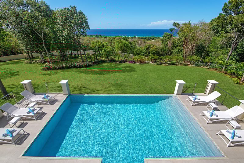 BougainVilla on Spring Farm