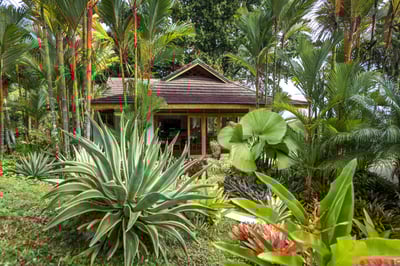 Luxury Villa Photo #55