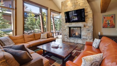 Great room with fireplace, TV, views