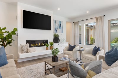Living area with cozy seating, fire place and large screen TV