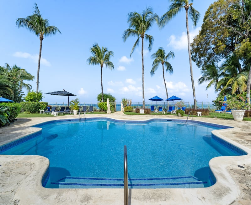 Emerald Beach 2 | Allamanda