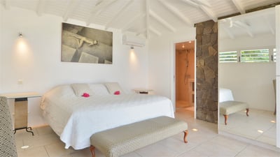 Luxury Villa Photo #29