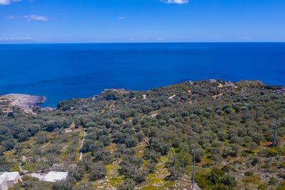 Luxury Villa Photo #19