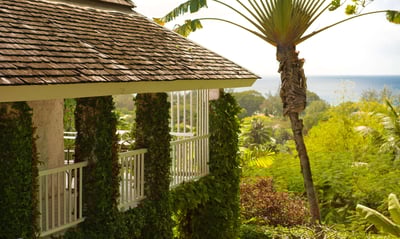 Luxury Villa Photo #15