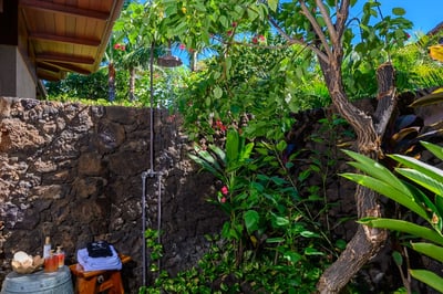 Luxury Villa Photo #29