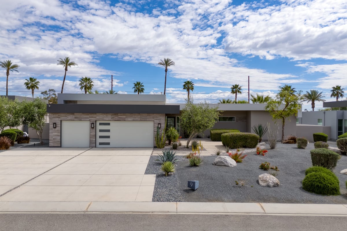 Green and Palm Oasis