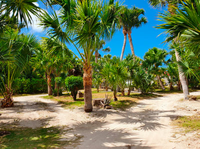 Luxury Villa Photo #14