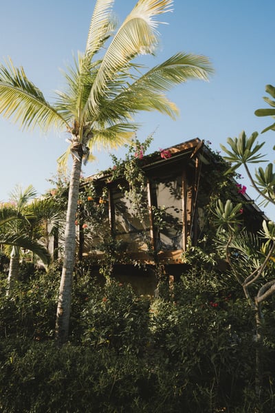 Luxury Villa Photo #7