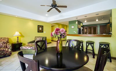 Luxury Villa Photo #3