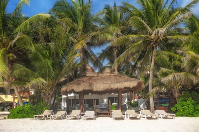 Luxury Villa Photo #3