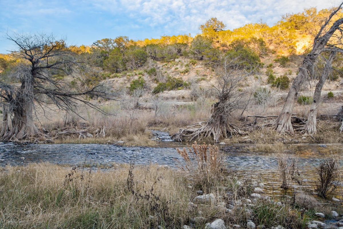 Desert Bloom Bungalow