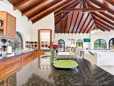 Luxury Villa Photo #18