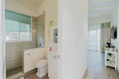 Luxury Villa Photo #37
