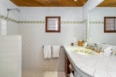 Luxury Villa Photo #36