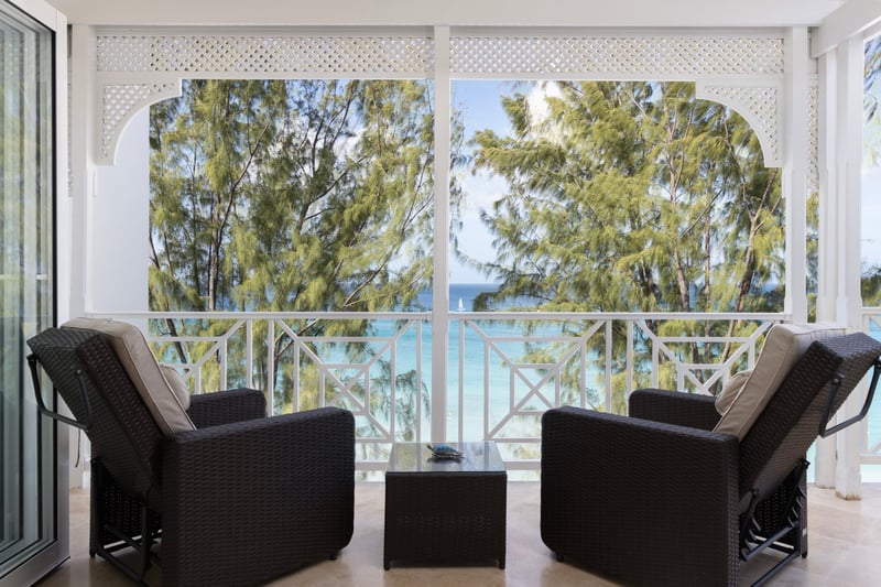 Old Trees 302 | La Mirage