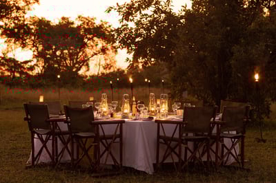 Bush Dining