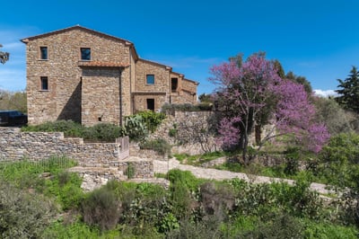 Luxury Villa Photo #3