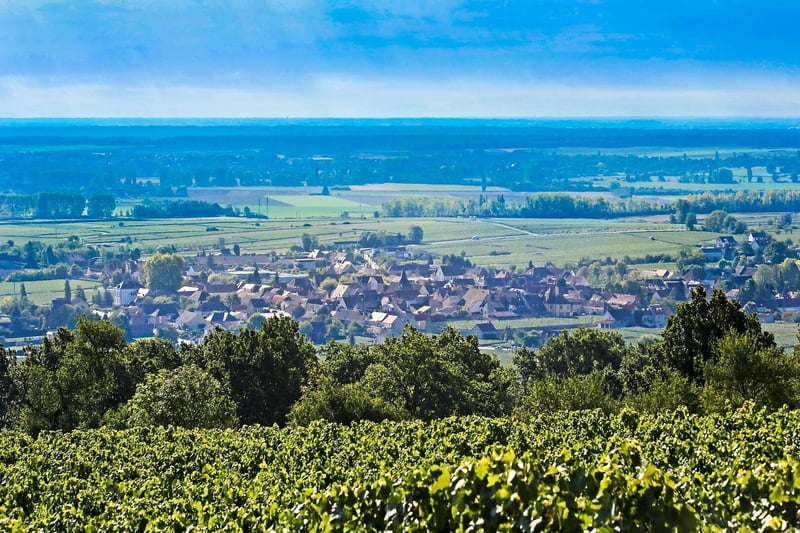 Puligny
