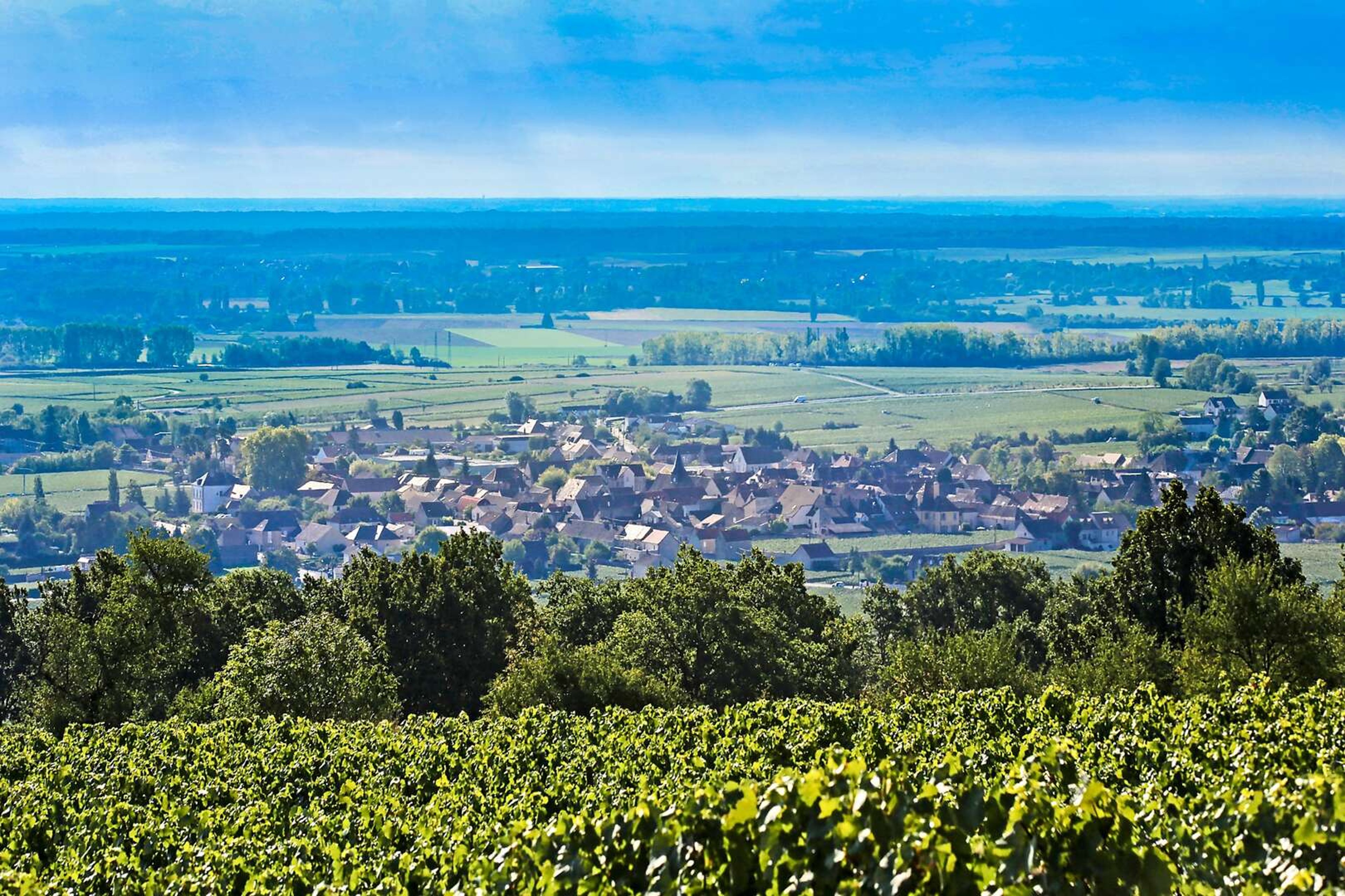 Puligny - 16