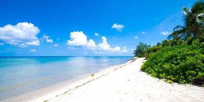 Luxury Villa Photo #52