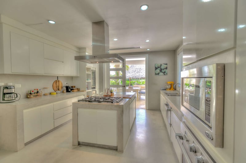 Arrecife EFG4 | Yellow Bear