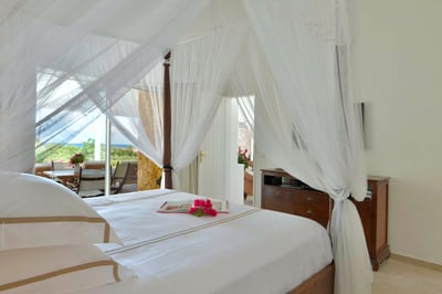 Luxury Villa Photo #9