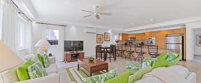 Luxury Villa Photo #2