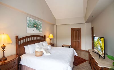 Luxury Villa Photo #11