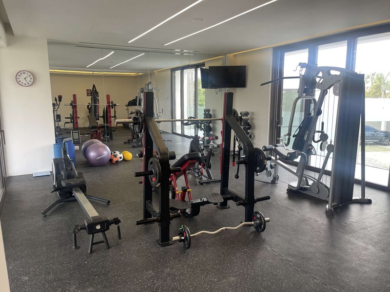 Juanillo 26/27 | Guacamaya