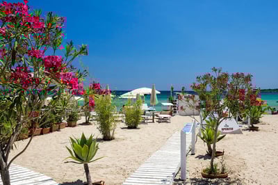 Luxury Villa Photo #7