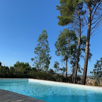 Luxury Villa Photo #4