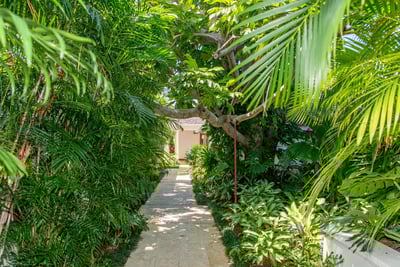 Luxury Villa Photo #7