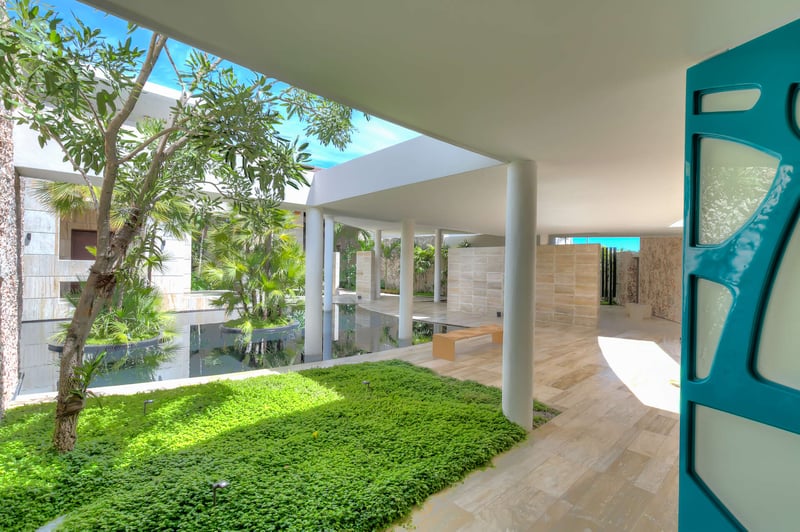 Arrecife 15 | Tartaruga