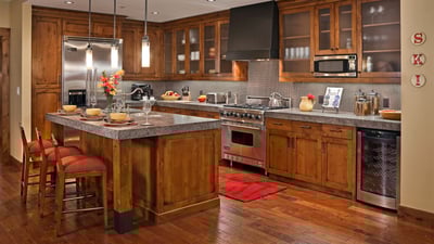 Gourmet kitchen