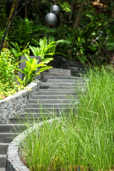 Stairway to more bungalows!