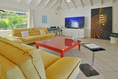 Luxury Villa Photo #18