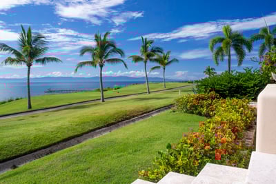 Luxury Villa Photo #19