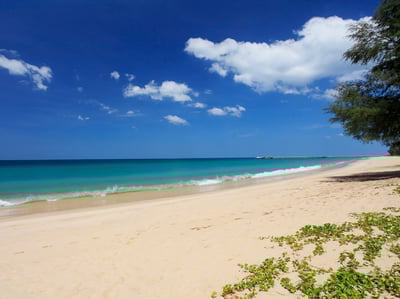 Luxury Villa Photo #2